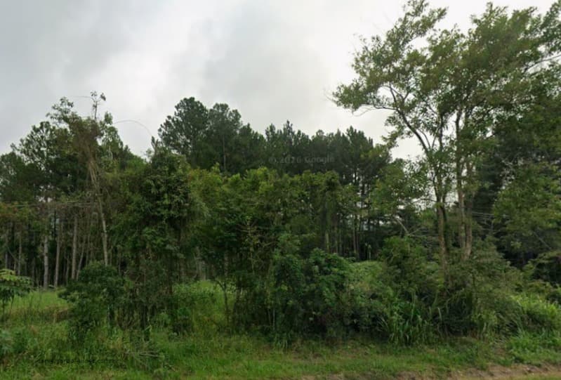 Foto 1 de 2: Terreno em leilão em Rio Do Sul - SC, bairro Rainha — LOTE 001 Terreno
