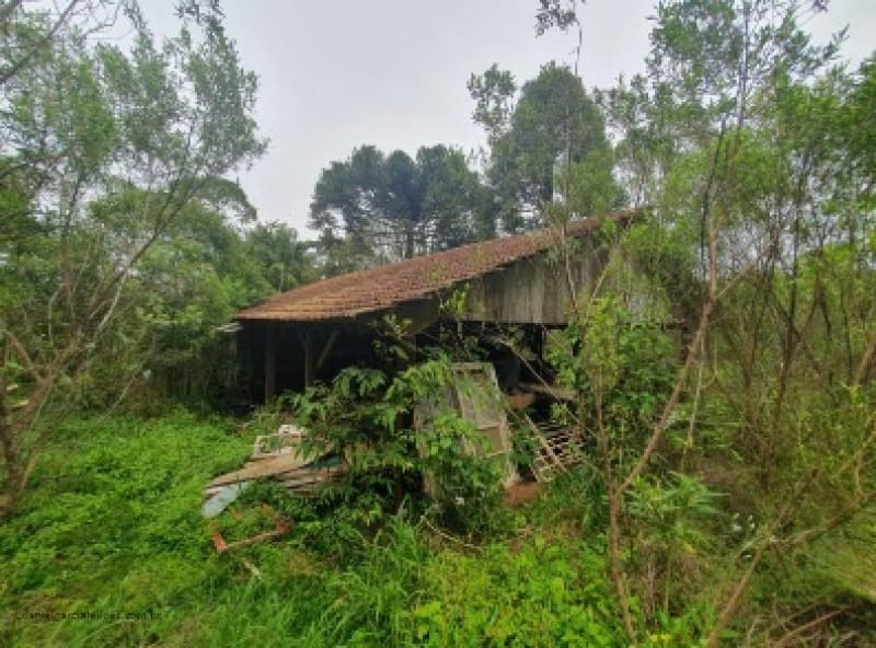 Foto 3 de 3: Terreno em leilão em Três Barras - SC — LOTE 001 Terreno