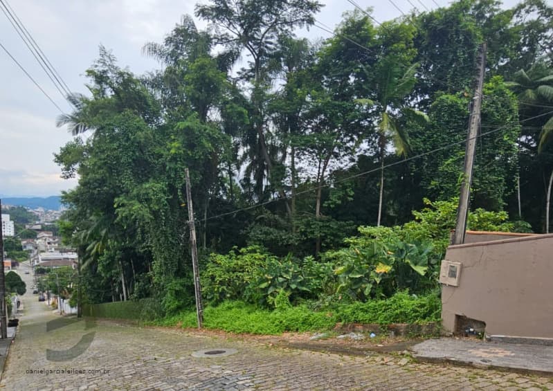 Foto 1 de 2: Terreno em leilão em Blumenau - SC, bairro Itoupava Seca — LOTE 001 Terreno
