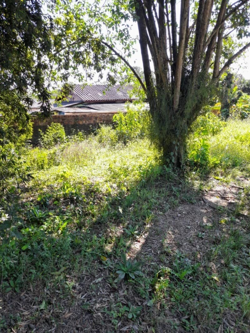 Foto 3 de 11: Terreno em leilão em Criciúma - SC, bairro Mina do Mato — LOTE 002 Imóvel