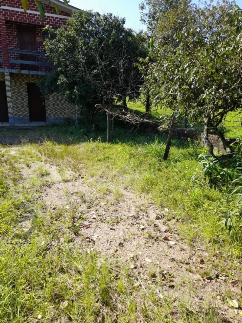 Foto 5 de 11: Terreno em leilão em Criciúma - SC, bairro Mina do Mato — LOTE 002 Imóvel