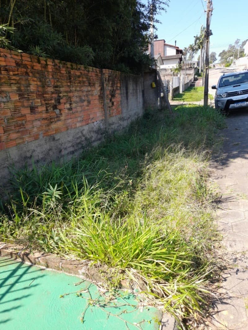 Foto 10 de 11: Terreno em leilão em Criciúma - SC, bairro Mina do Mato — LOTE 002 Imóvel