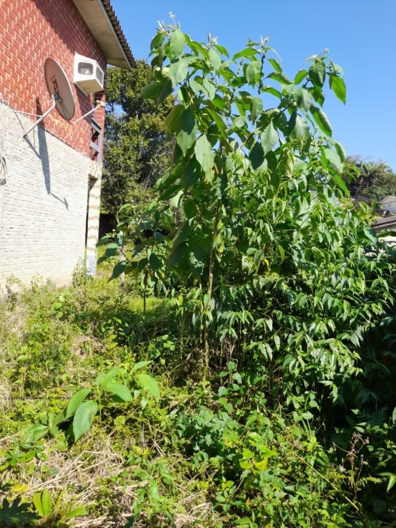 Foto 11 de 11: Terreno em leilão em Criciúma - SC, bairro Mina do Mato — LOTE 002 Imóvel