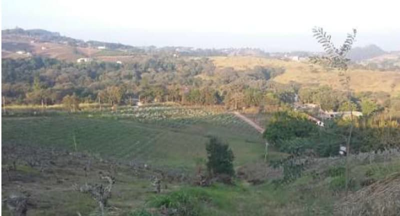 Area Rural em leilão em Valinhos - SP — LOTE 001 Imóvel Rural - Valinhos