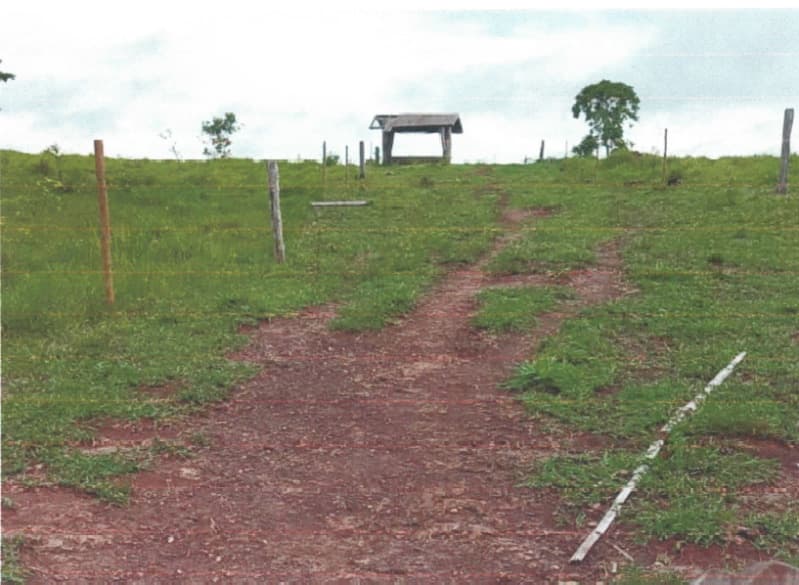 Area Rural em leilão em Alvorada D'oeste - RO — LOTE 001 IMÓVEL RURAL EM ALVORADA D'OESTE/RO