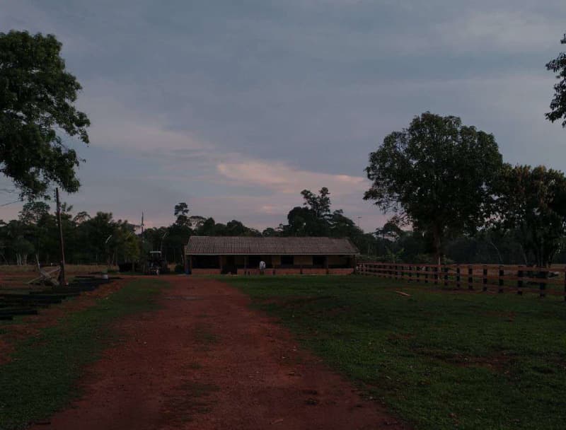 Foto 1 de 14: Area Rural em leilão em Porto Velho - RO — LOTE 001 01 IMÓVEL RURAL COM ÁREA DE 301,2696 HA NO MUNICÍPIO DE PORTO VELHO/RO