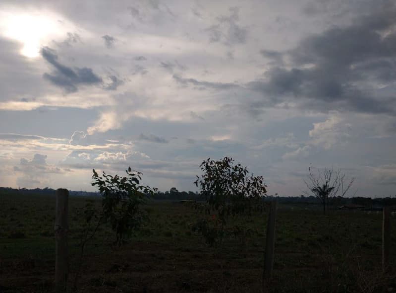 Foto 2 de 14: Area Rural em leilão em Porto Velho - RO — LOTE 001 01 IMÓVEL RURAL COM ÁREA DE 301,2696 HA NO MUNICÍPIO DE PORTO VELHO/RO