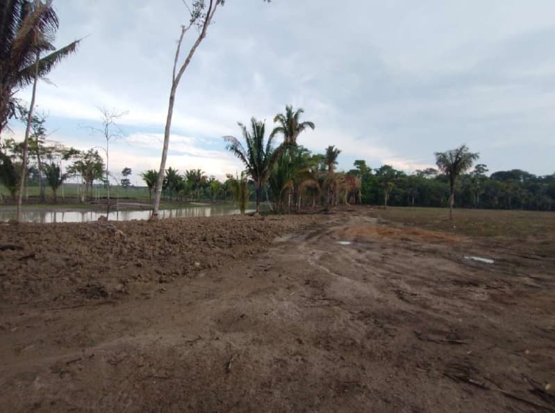 Foto 4 de 14: Area Rural em leilão em Porto Velho - RO — LOTE 001 01 IMÓVEL RURAL COM ÁREA DE 301,2696 HA NO MUNICÍPIO DE PORTO VELHO/RO