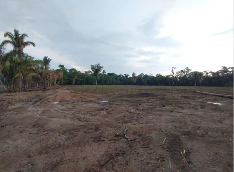 Foto 5 de 14: Area Rural em leilão em Porto Velho - RO — LOTE 001 01 IMÓVEL RURAL COM ÁREA DE 301,2696 HA NO MUNICÍPIO DE PORTO VELHO/RO