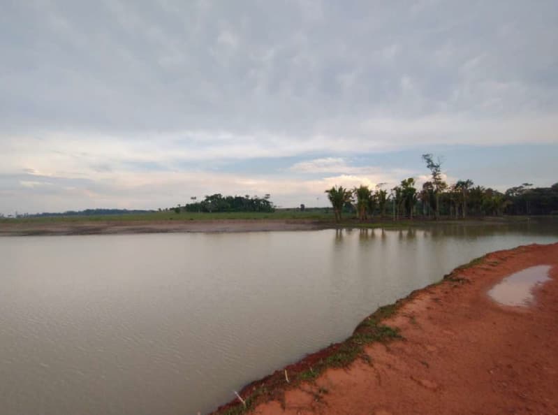 Foto 6 de 14: Area Rural em leilão em Porto Velho - RO — LOTE 001 01 IMÓVEL RURAL COM ÁREA DE 301,2696 HA NO MUNICÍPIO DE PORTO VELHO/RO