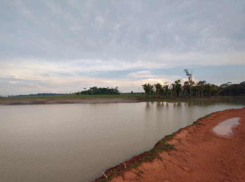 Foto 7 de 14: Area Rural em leilão em Porto Velho - RO — LOTE 001 01 IMÓVEL RURAL COM ÁREA DE 301,2696 HA NO MUNICÍPIO DE PORTO VELHO/RO