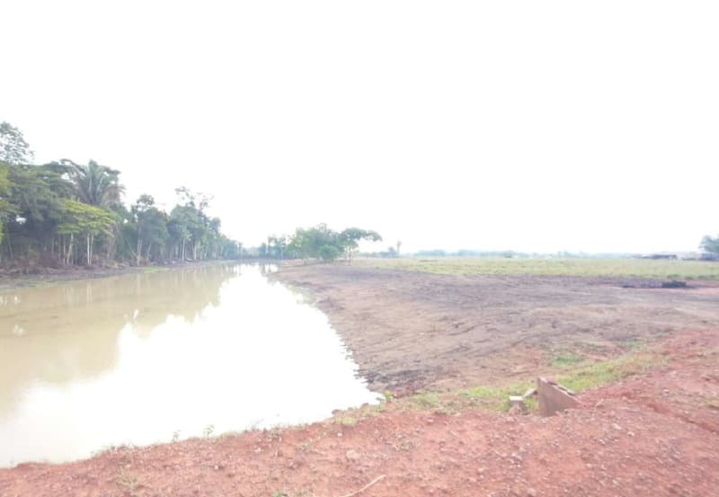 Foto 8 de 14: Area Rural em leilão em Porto Velho - RO — LOTE 001 01 IMÓVEL RURAL COM ÁREA DE 301,2696 HA NO MUNICÍPIO DE PORTO VELHO/RO