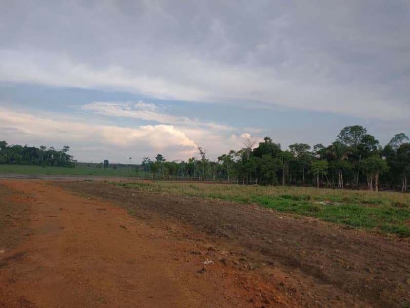 Foto 10 de 14: Area Rural em leilão em Porto Velho - RO — LOTE 001 01 IMÓVEL RURAL COM ÁREA DE 301,2696 HA NO MUNICÍPIO DE PORTO VELHO/RO