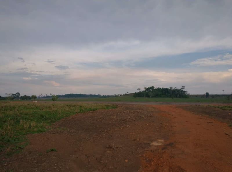 Foto 11 de 14: Area Rural em leilão em Porto Velho - RO — LOTE 001 01 IMÓVEL RURAL COM ÁREA DE 301,2696 HA NO MUNICÍPIO DE PORTO VELHO/RO