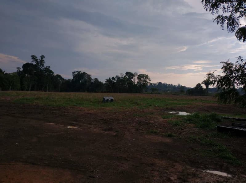 Foto 12 de 14: Area Rural em leilão em Porto Velho - RO — LOTE 001 01 IMÓVEL RURAL COM ÁREA DE 301,2696 HA NO MUNICÍPIO DE PORTO VELHO/RO