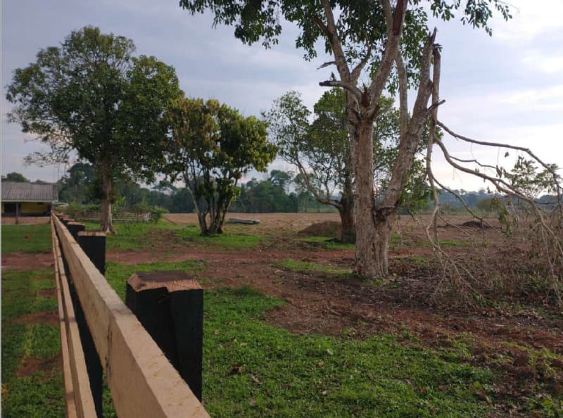 Foto 14 de 14: Area Rural em leilão em Porto Velho - RO — LOTE 001 01 IMÓVEL RURAL COM ÁREA DE 301,2696 HA NO MUNICÍPIO DE PORTO VELHO/RO