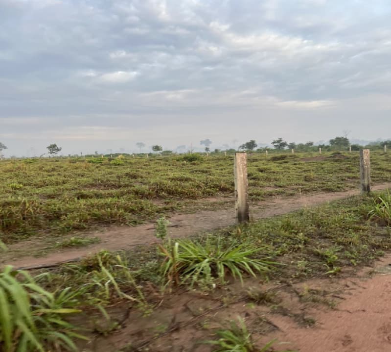 Foto 2 de 4: Terreno em leilão em Guajará-mirim - RO — LOTE 001 01 LOTE DE TERRAS RURAL DENOMINADO SÍTIO SANTA CRUZ NO MUNICÍPIO DE GUAJARÁ-MIRIM/RO