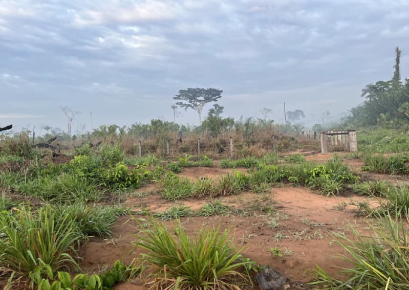 Terreno em leilão em Guajará-mirim - RO — LOTE 001 01 LOTE DE TERRAS RURAL DENOMINADO SÍTIO SANTA CRUZ NO MUNICÍPIO DE GUAJARÁ-MIRIM/RO