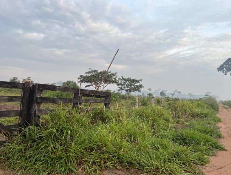 Foto 4 de 4: Terreno em leilão em Guajará-mirim - RO — LOTE 001 01 LOTE DE TERRAS RURAL DENOMINADO SÍTIO SANTA CRUZ NO MUNICÍPIO DE GUAJARÁ-MIRIM/RO