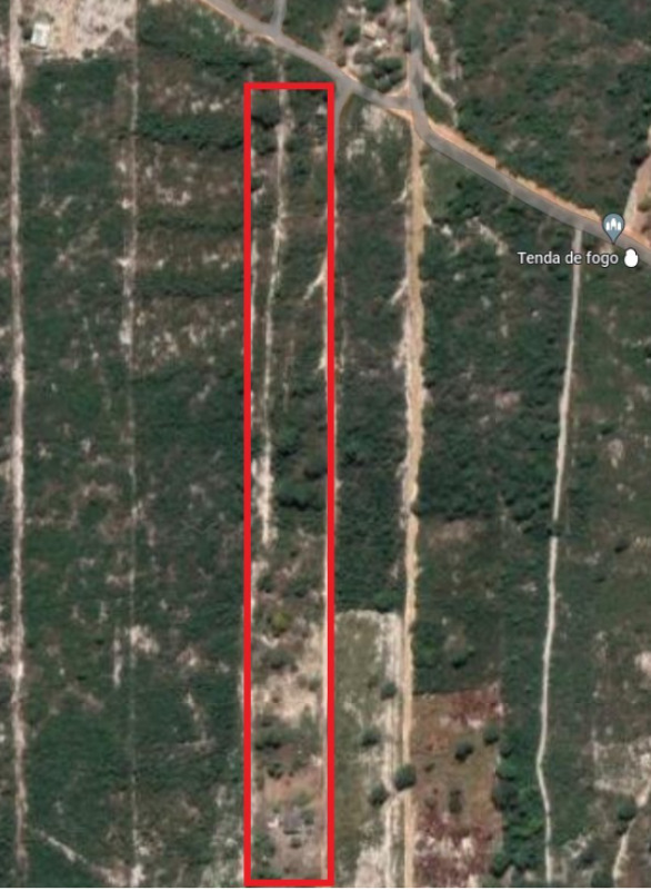 Area Rural em leilão em Vilhena - RO — LOTE 001 DIREITO DE POSSE DE 50% DE 01 IMÓVEL RURAL - CHÁCARA EM VILHENA/RO