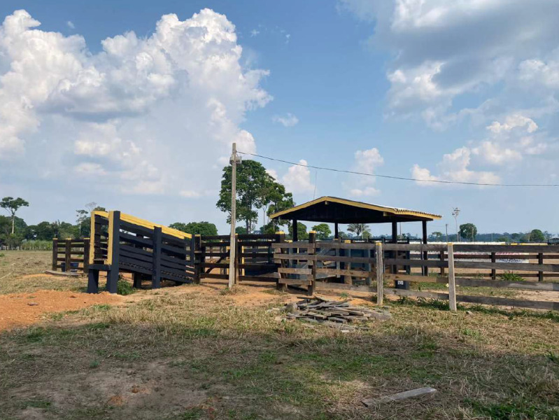 Foto 5 de 15: Area Rural em leilão em Costa Marques - RO — LOTE 001 IMÓVEL RURAL EM COSTA MARQUES