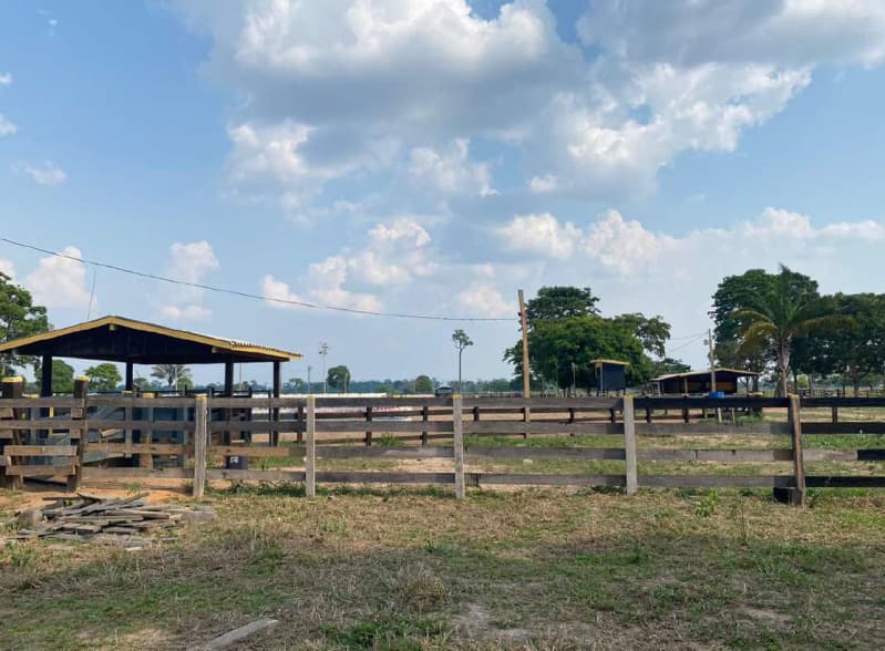 Foto 6 de 15: Area Rural em leilão em Costa Marques - RO — LOTE 001 IMÓVEL RURAL EM COSTA MARQUES