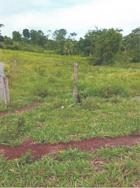 Foto 2 de 5: Area Rural em leilão em Alvorada D'oeste - RO — LOTE 001 IMÓVEL RURAL EM ALVORADA D´OESTE/RO