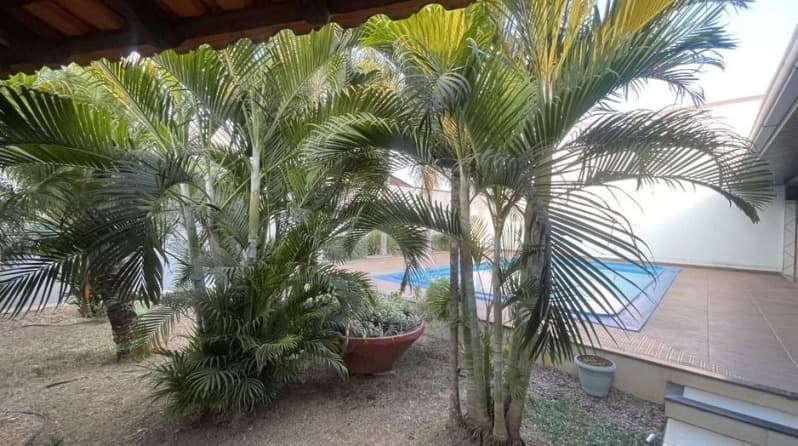 Foto 8 de 22: Comercial em leilão em Ji-paraná - RO — LOTE 001 IMÓVEL RESIDENCIAL E COMERCIAL EM JI-PARANÁ