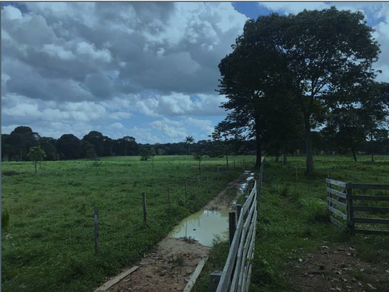 Foto 2 de 4: Terreno em leilão em Itacoatiara - AM — LOTE 001 TERRENO EM ITACOATIARA/AM