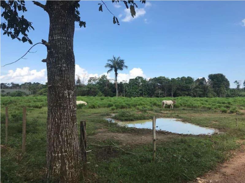 Foto 3 de 4: Terreno em leilão em Itacoatiara - AM — LOTE 001 TERRENO EM ITACOATIARA/AM