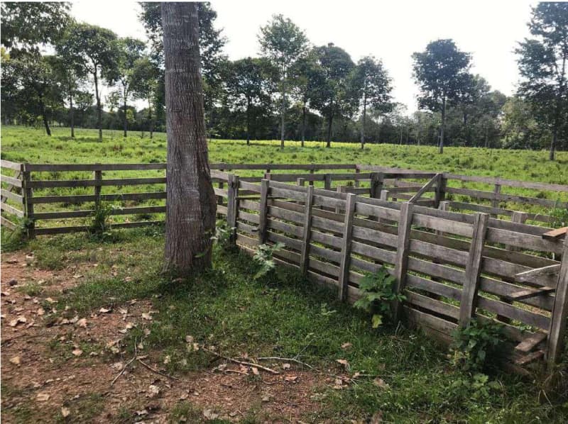 Foto 4 de 4: Terreno em leilão em Itacoatiara - AM — LOTE 001 TERRENO EM ITACOATIARA/AM