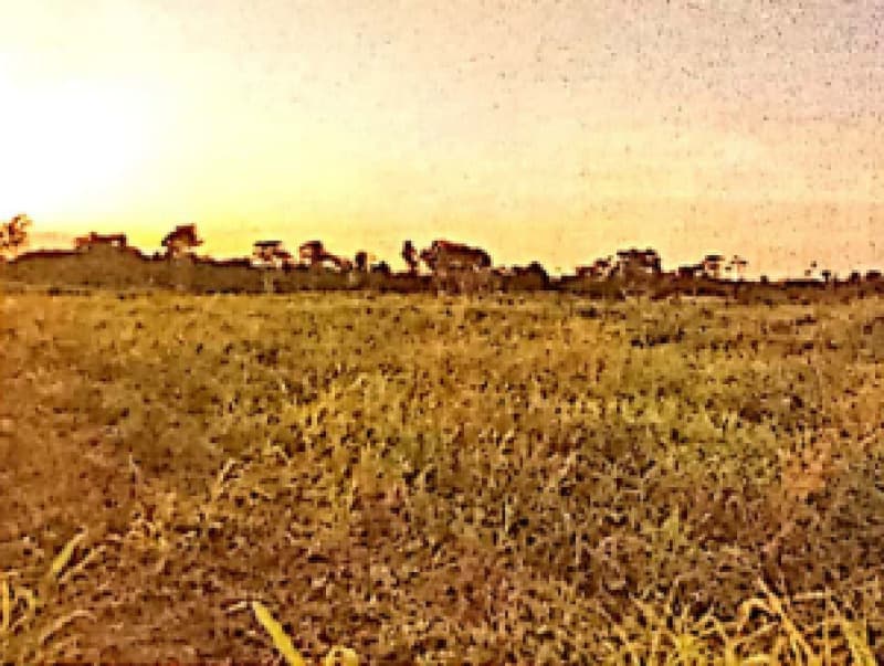 Foto 2 de 5: Imóvel em leilão em Buritis - RO — LOTE 001 IMÓVEL EM BURITIS/RO