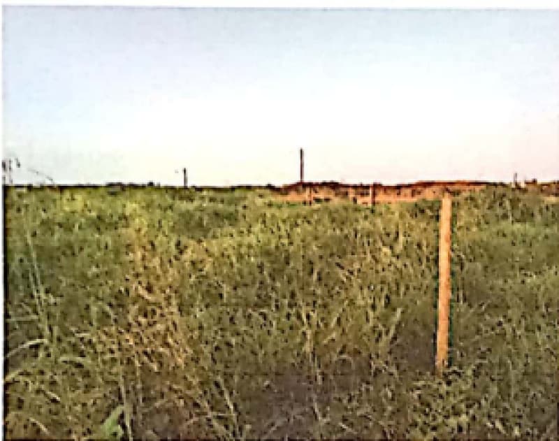 Foto 5 de 5: Imóvel em leilão em Buritis - RO — LOTE 001 IMÓVEL EM BURITIS/RO