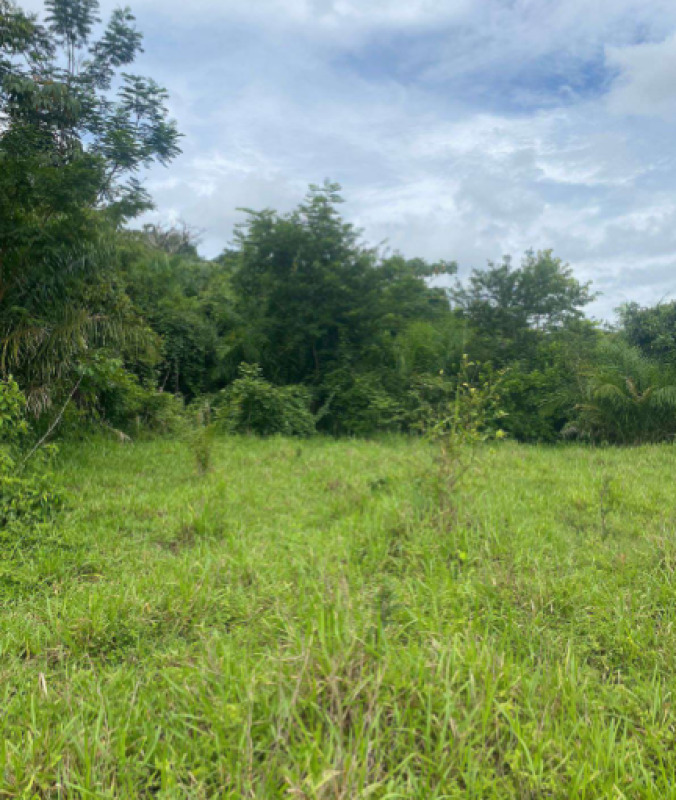 Area Rural em leilão em Costa Marques - RO, bairro Setor Serra Grande — LOTE 001 IMÓVEL RURAL EM COSTA MARQUES/RO