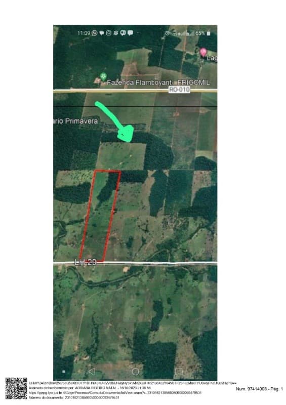 Area Rural em leilão em Pimenta Bueno - RO — LOTE 001 FRAÇÃO A SER DESTACADA DE IMÓVEL RURAL EM PIMENTA BUENO/RO