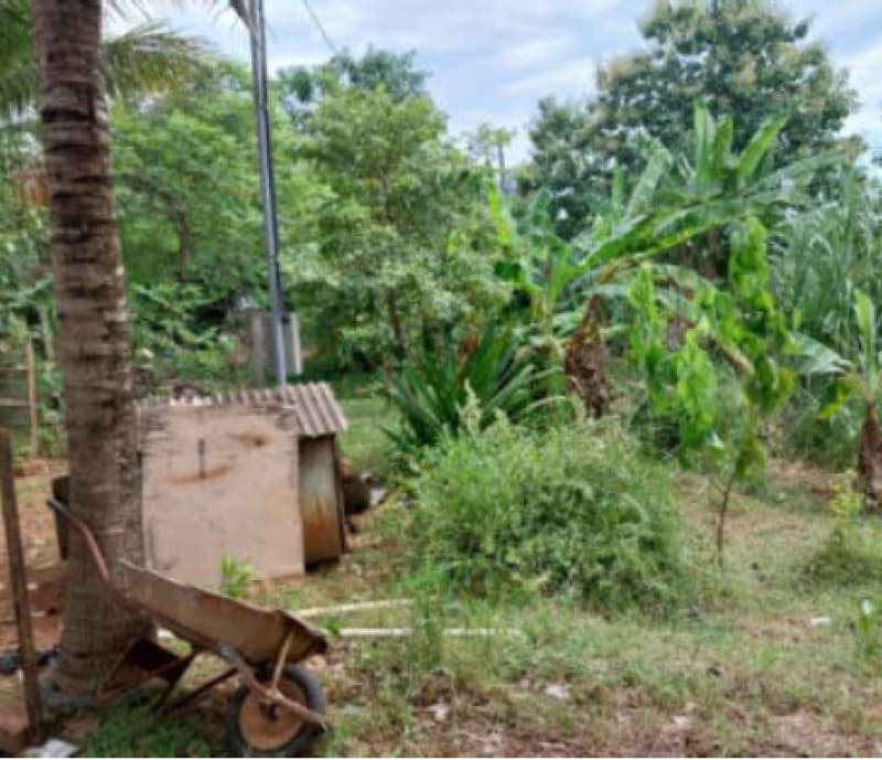 Foto 12 de 19: Area Rural em leilão em Ariquemes - RO, bairro Área de Chácaras — LOTE 001 IMÓVEL RURAL EM ARIQUEMES/RO - ÁREA DE CHÁCARAS