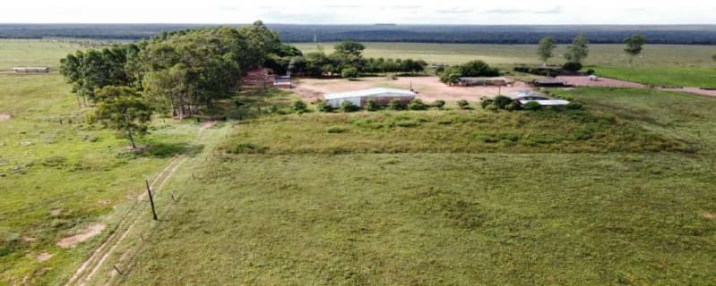 Foto 11 de 25: Terreno em leilão em Brasnorte - MT — LOTE 001 Terreno rural com ou sem benfeitoria