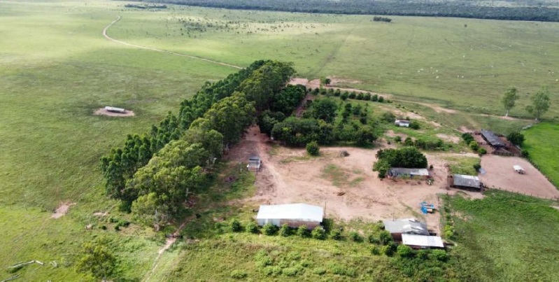 Foto 12 de 25: Terreno em leilão em Brasnorte - MT — LOTE 001 Terreno rural com ou sem benfeitoria
