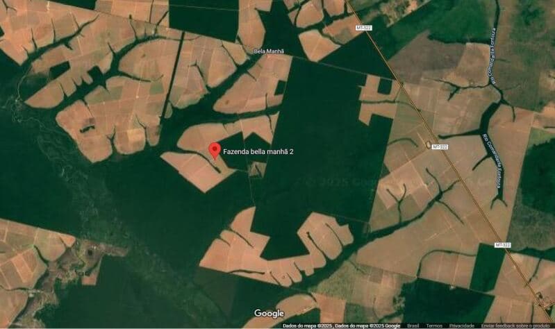 Foto 7 de 7: Terreno em leilão em Bom Jesus Do Araguaia - MT — LOTE 002 Terreno rural com ou sem benfeitoria