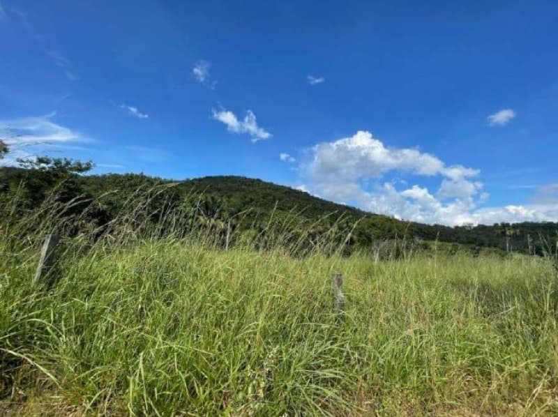 Foto 6 de 11: Terreno em leilão em Minaçu - GO — LOTE 001 Terreno rural com ou sem benfeitoria