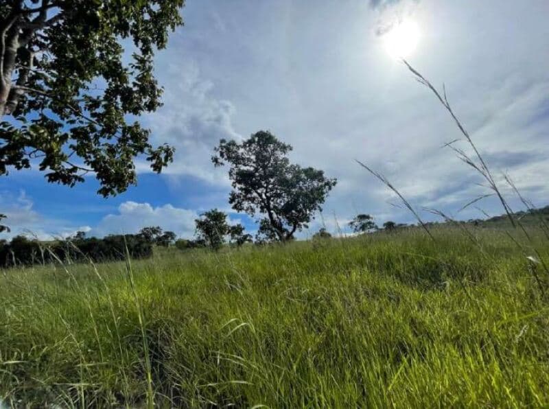 Foto 2 de 11: Terreno em leilão em Minaçu - GO — LOTE 001 Terreno rural com ou sem benfeitoria