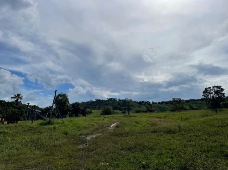 Foto 3 de 11: Terreno em leilão em Minaçu - GO — LOTE 001 Terreno rural com ou sem benfeitoria