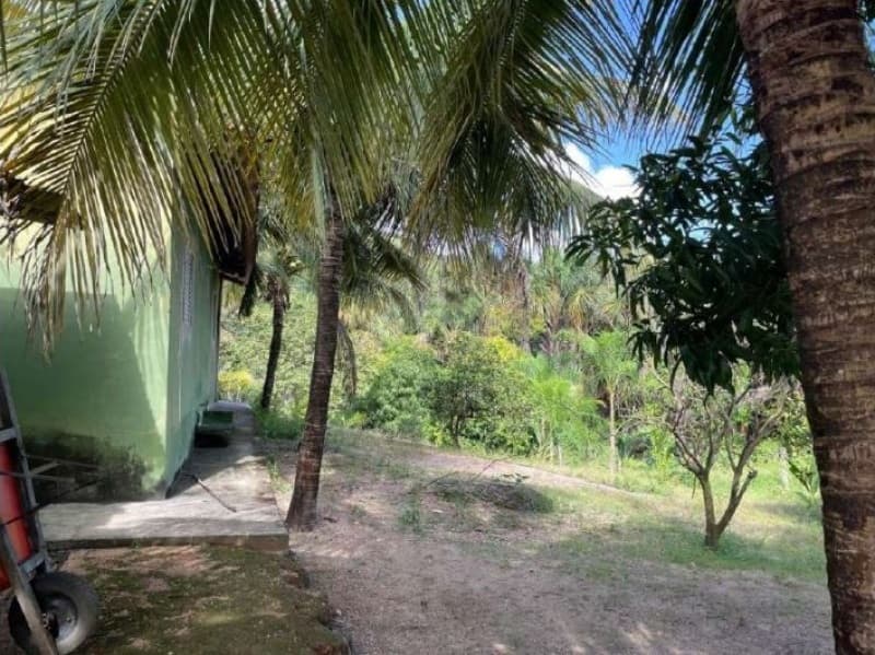 Foto 4 de 11: Terreno em leilão em Minaçu - GO — LOTE 001 Terreno rural com ou sem benfeitoria