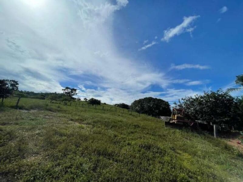 Foto 10 de 11: Terreno em leilão em Minaçu - GO — LOTE 001 Terreno rural com ou sem benfeitoria