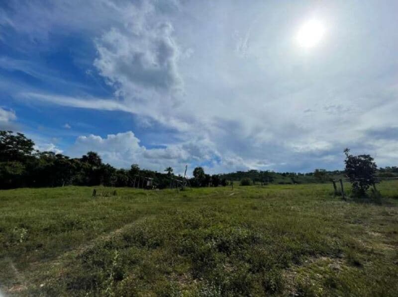 Foto 11 de 11: Terreno em leilão em Minaçu - GO — LOTE 001 Terreno rural com ou sem benfeitoria