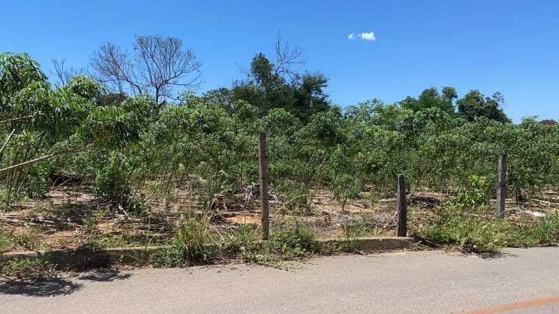Foto 1 de 3: Terreno em leilão em São Luís De Montes Belos - GO — LOTE 007 Terreno urbano com ou sem benfeitorias