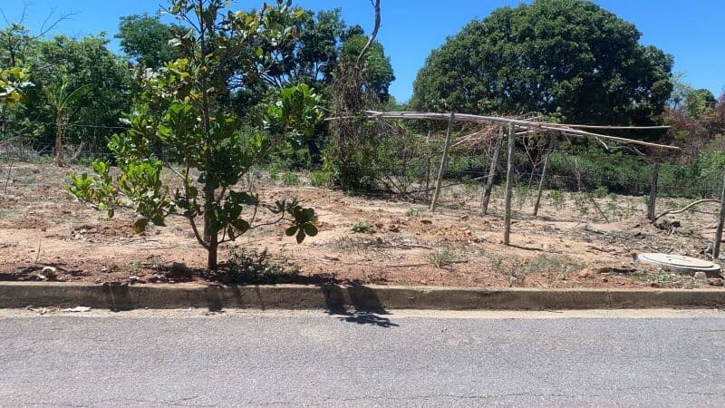 Foto 2 de 3: Terreno em leilão em São Luís De Montes Belos - GO — LOTE 007 Terreno urbano com ou sem benfeitorias