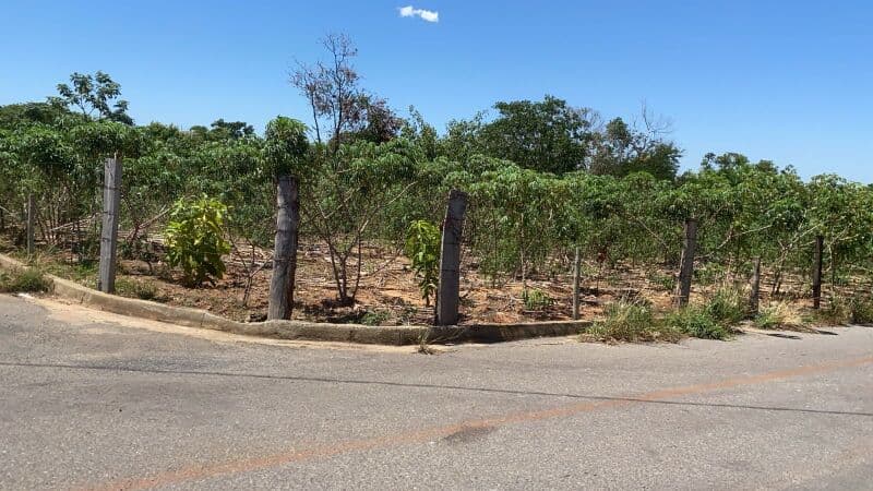 Foto 3 de 3: Terreno em leilão em São Luís De Montes Belos - GO — LOTE 007 Terreno urbano com ou sem benfeitorias