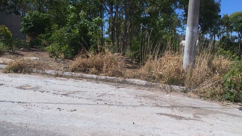 Foto 3 de 3: Terreno em leilão em São Luís De Montes Belos - GO — LOTE 009 Terreno urbano com ou sem benfeitorias