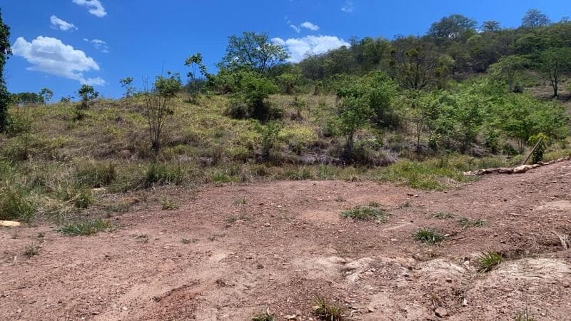 Foto 3 de 5: Terreno em leilão em São Luís De Montes Belos - GO — LOTE 012 Terreno urbano com ou sem benfeitorias